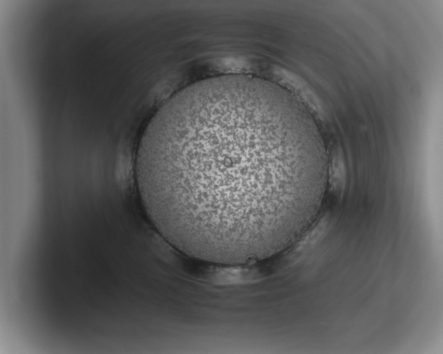 X0000102520473200808151537