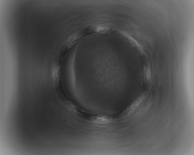 X0000102520475200808151537