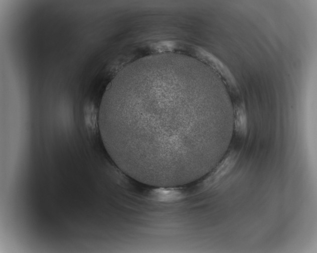 X0000102520477200808151537