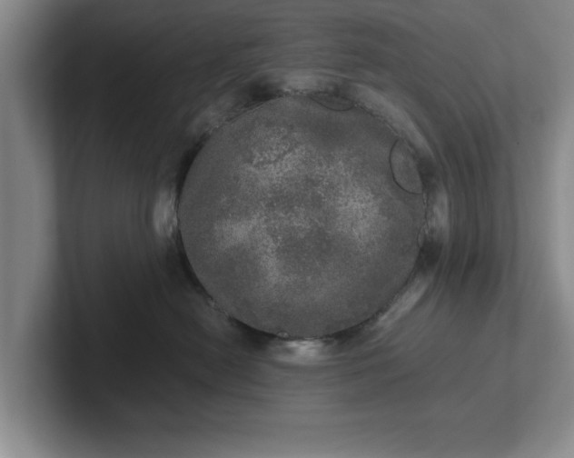 X0000102520478200808151537