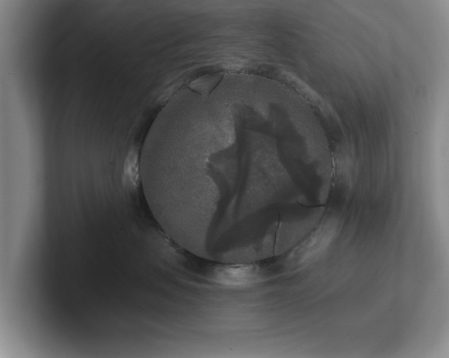 X0000102520479200808151537