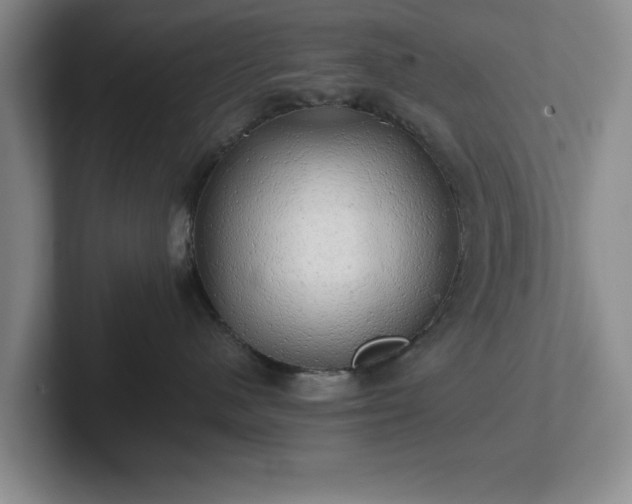 X0000102520480200808151537