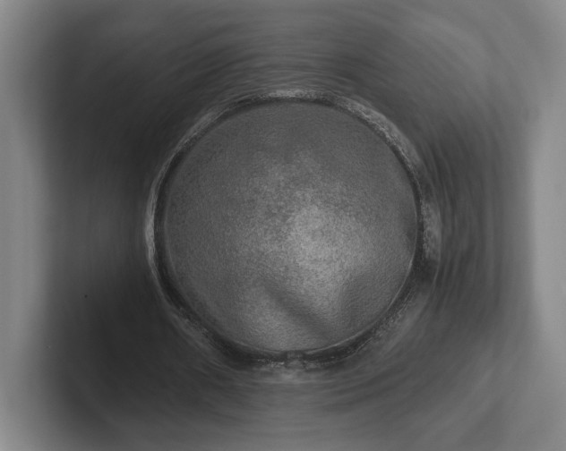 X0000102520482200808151536