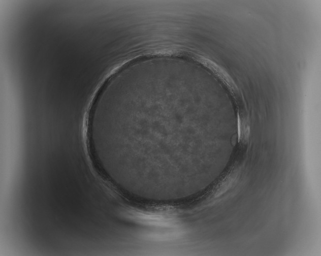 X0000102520483200808151536