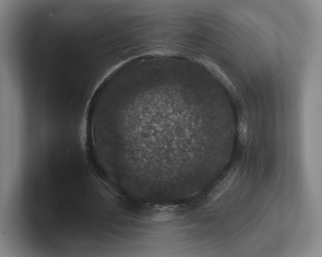 X0000102520484200808151536