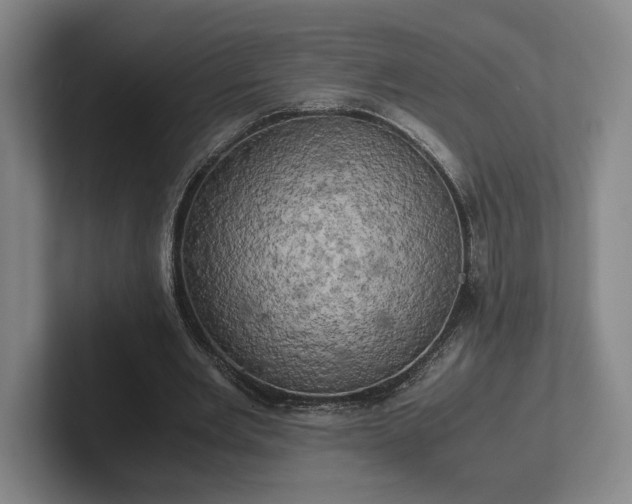 X0000102520485200808151536