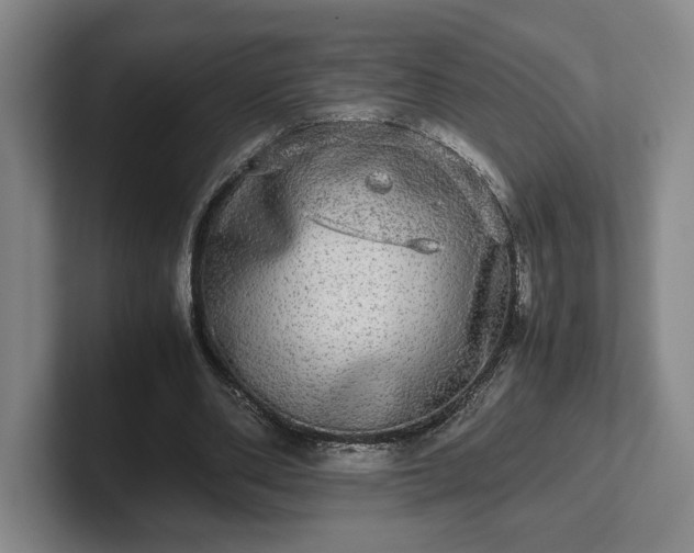 X0000102520486200808151536