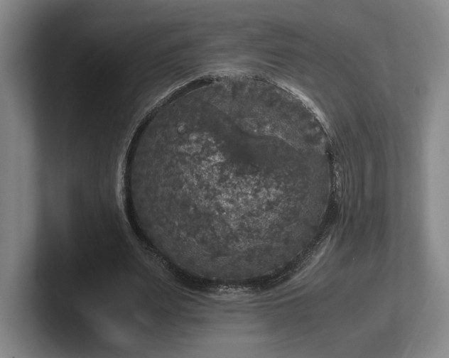 X0000102520487200808151536