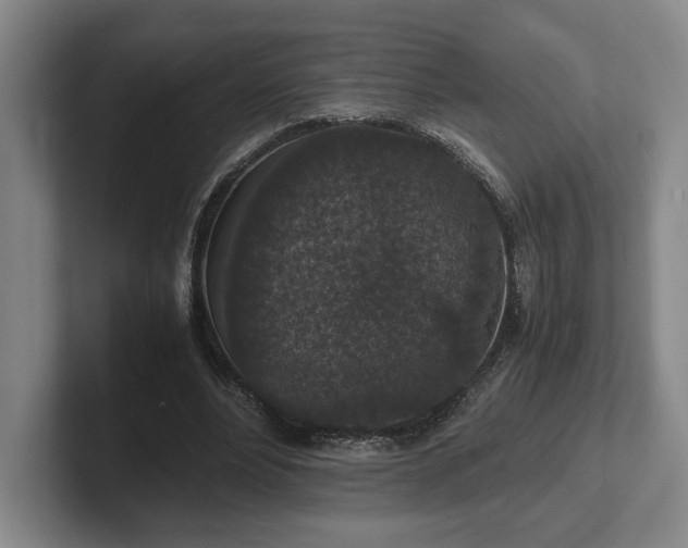 X0000102520488200808151536