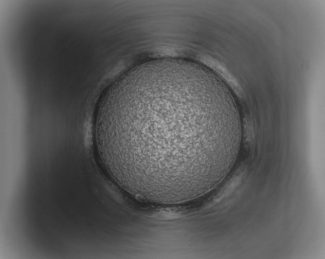 X0000102520489200808151536