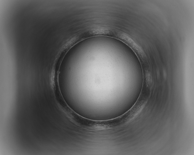 X0000102520490200808151536