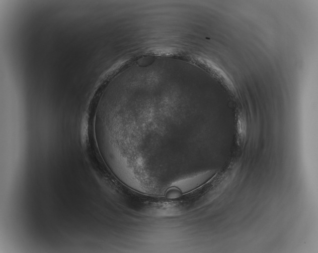 X0000102520492200808151536