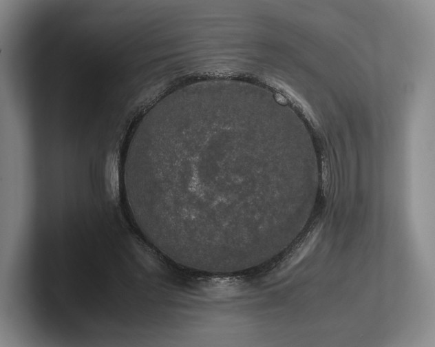 X0000102520493200808151536