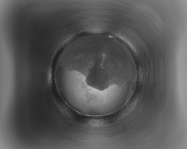 X0000102520494200808151536