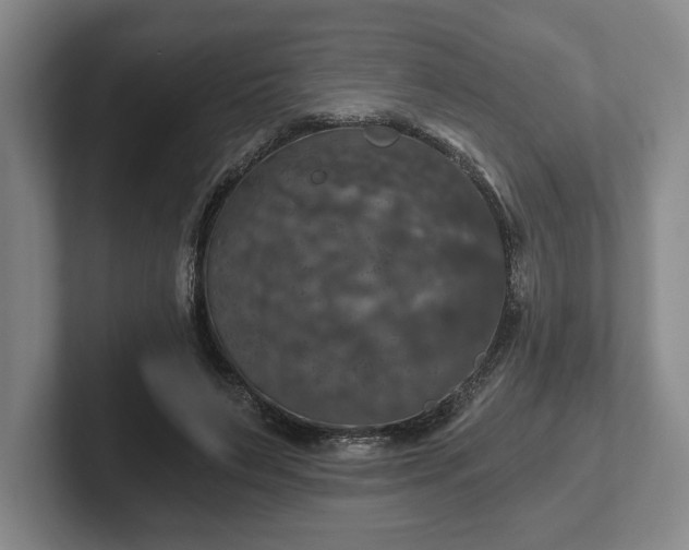 X0000102520495200808151536