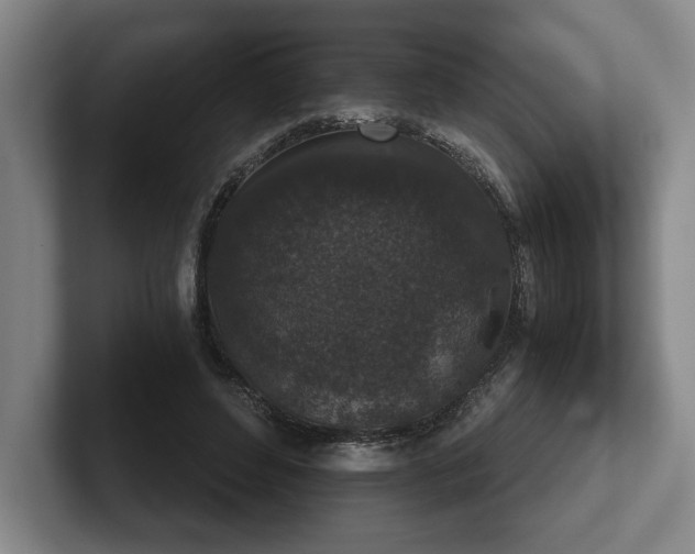 X0000102520496200808151536