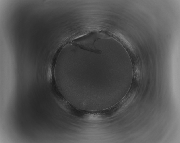 X0000102520500200808151536