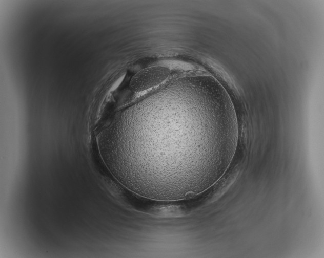 X0000102520501200808151536