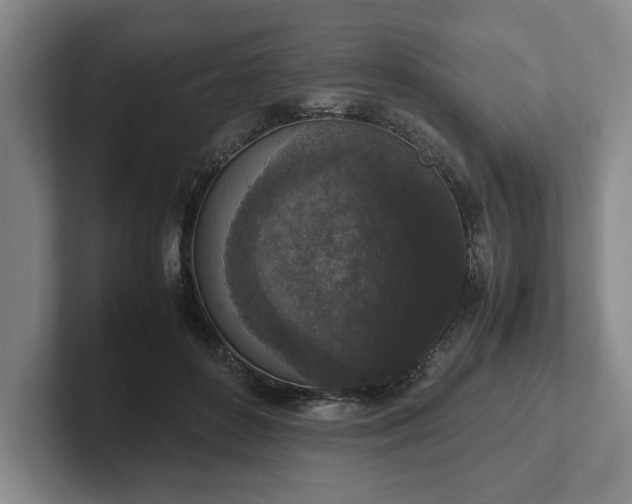 X0000102520504200808151536