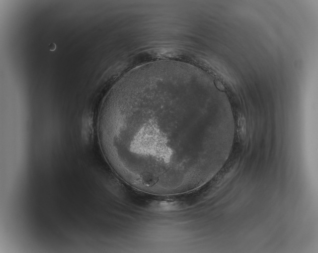 X0000102520506200808151536