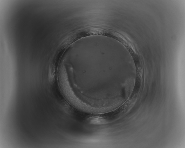 X0000102520507200808151536