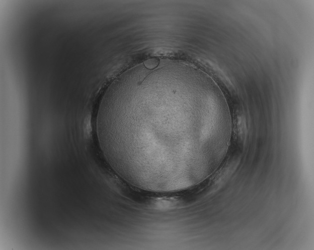 X0000102520508200808151536