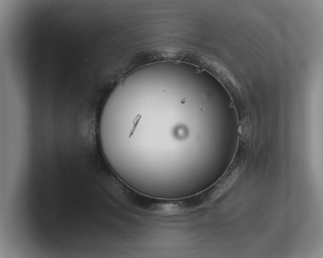 X0000102520509200808151536