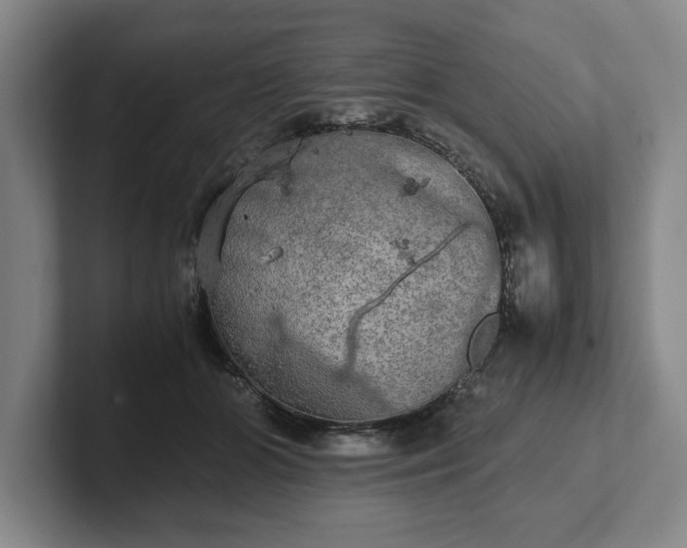 X0000102520510200808151536