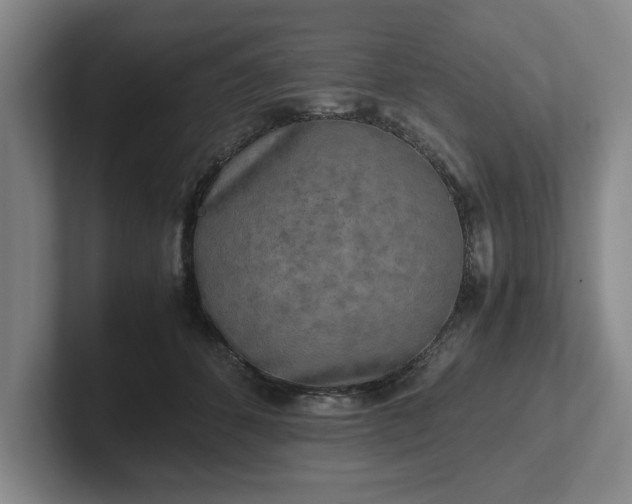 X0000102520512200808151536