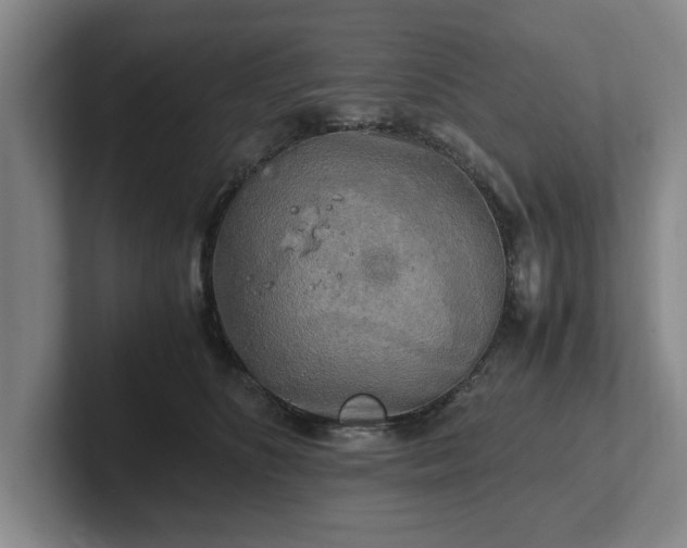 X0000102520516200808151536