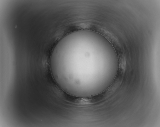 X0000102520518200808151536