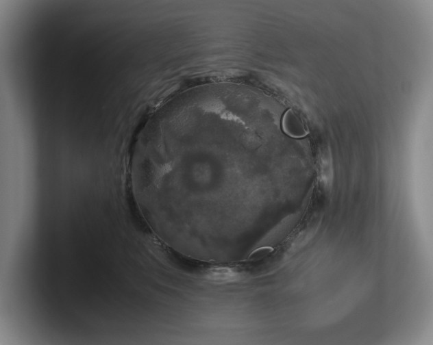 X0000102520519200808151536