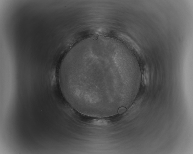 X0000102520520200808151536