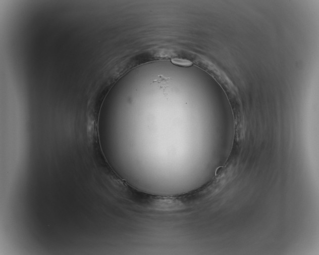 X0000102520521200808151536