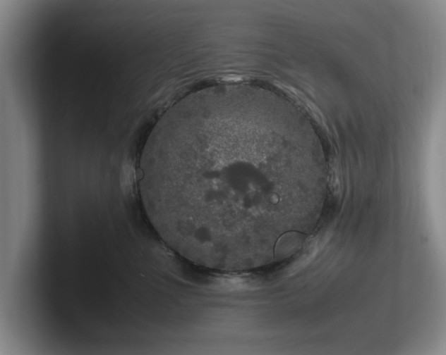 X0000102520523200808151536