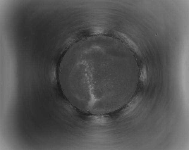 X0000102520524200808151536