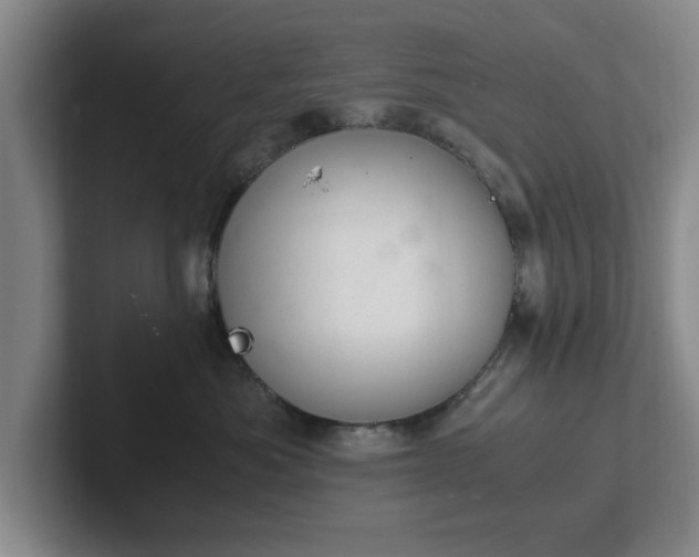 X0000102520525200808151536