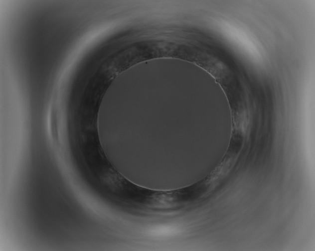 X0000102520526200808151536