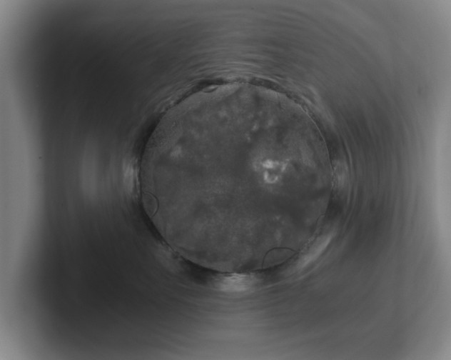 X0000102520527200808151536