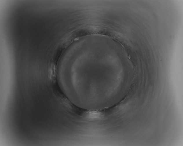 X0000102520528200808151536