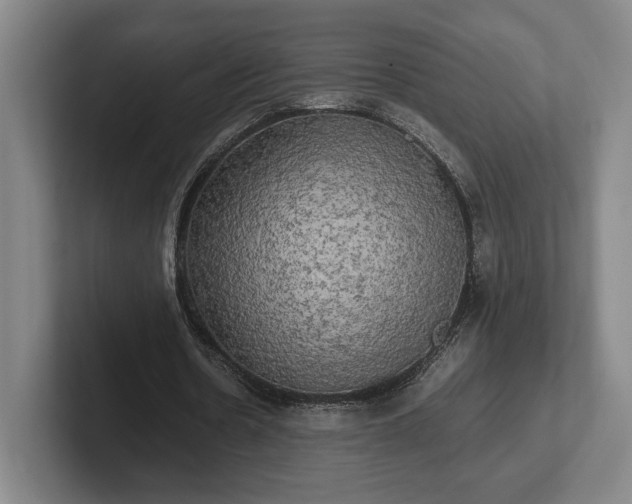 X0000102520530200808151535