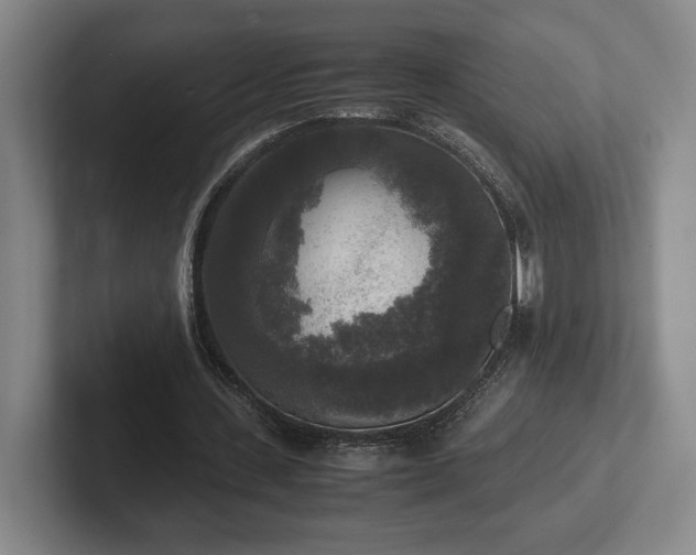 X0000102520531200808151535