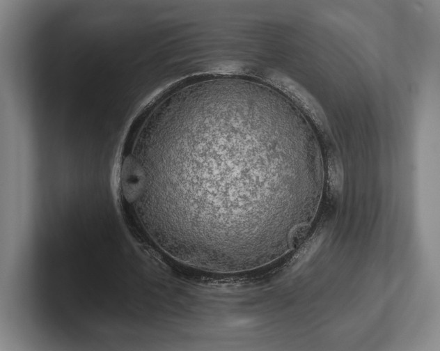 X0000102520532200808151535