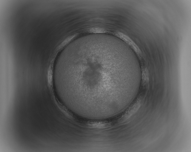 X0000102520533200808151535