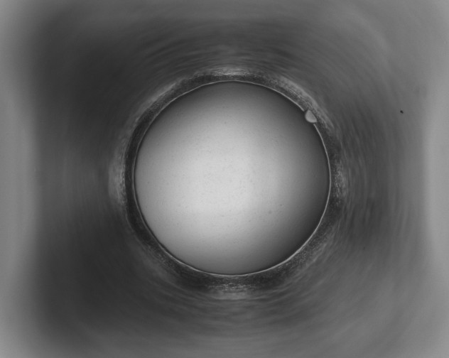 X0000102520535200808151535