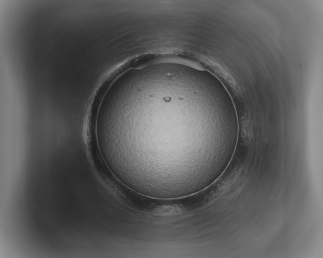 X0000102520536200808151535