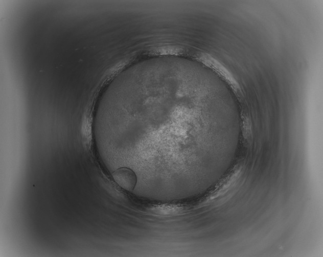 X0000102520537200808151535