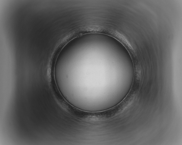 X0000102520538200808151535