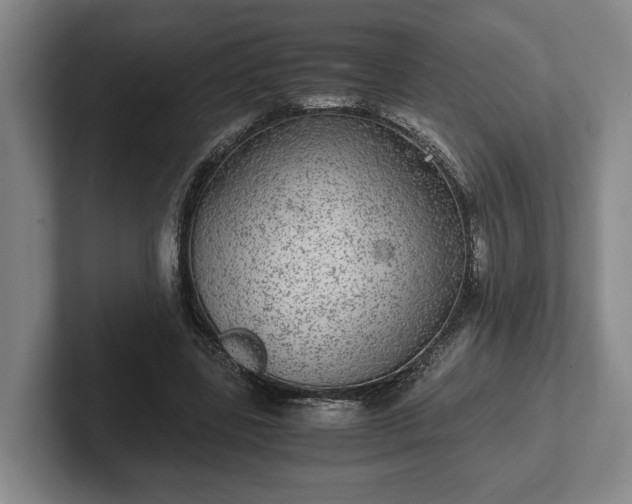 X0000102520539200808151535