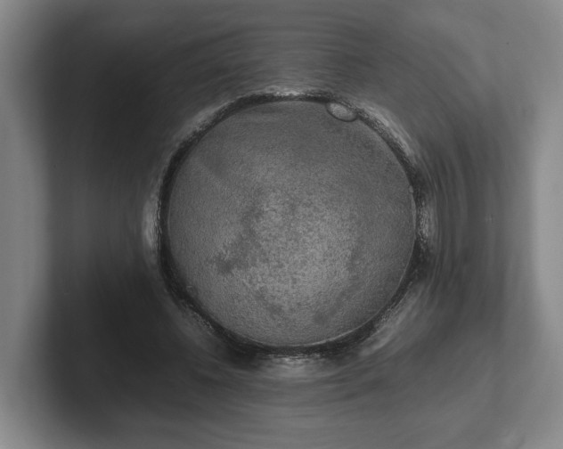 X0000102520540200808151535